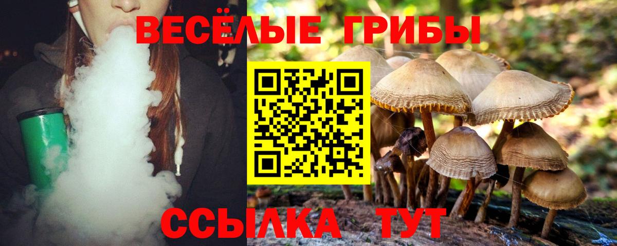 Галлюциногенные грибы ЛСД Кохма