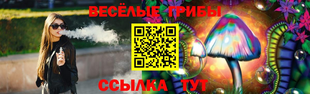 Галлюциногенные грибы Cubensis  Вход с VPN  Кохма 
