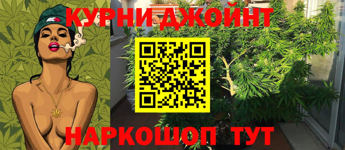 Бошки Шишки MAZAR Кохма